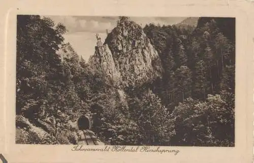 Winterberg-Altastenberg - Höllental, Hirschsprung