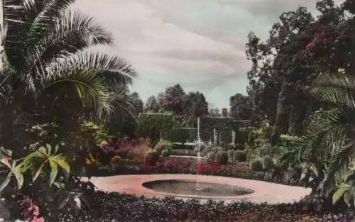 Bad Pyrmont - Palmengarten - 1960