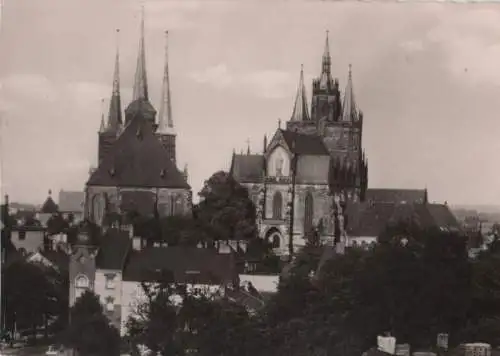 Erfurt - Dom und Severikirche - ca. 1965