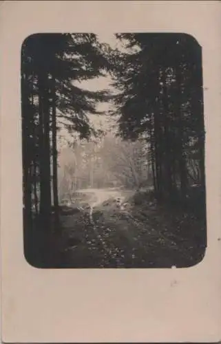 Nasser Weg im Wald - ca. 1935