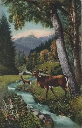 Zavelstein - Partie im Teinachtal - ca. 1920