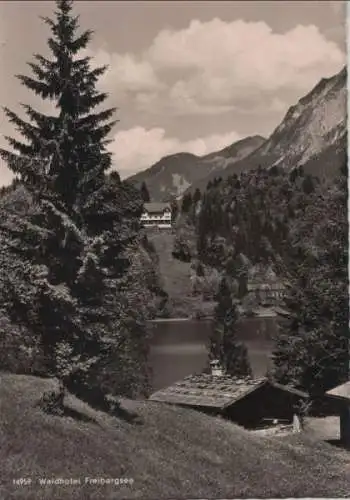 Freibergsee - Waldhotel - 1963