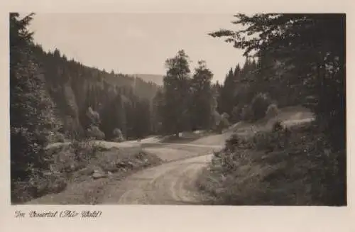 Vessertal im Thüringer Wald - ca. 1955