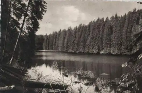 Braunlage - Der Silberteich - 1959