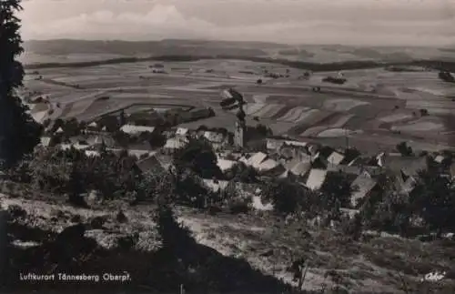 Tännesberg - Ansicht