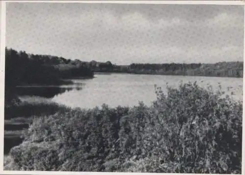 Alt-Döberiter See - mit viel Wald