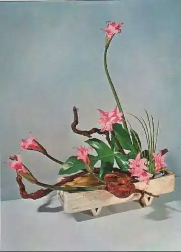 Ikebana Nicht in der Ferne