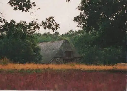 Lüneburger Heide - Heidschnuckenstall - 1992