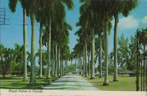 USA - USA - Florida - Royal Palms - 1981