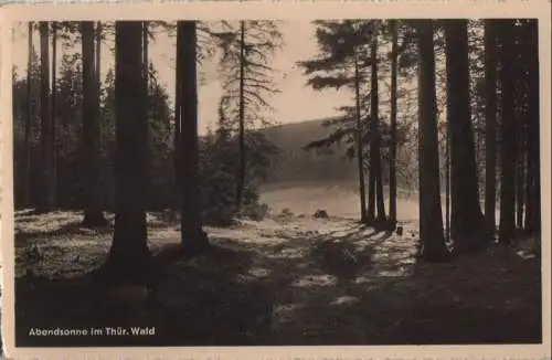 Thüringer Wald - Abendsonne - 1958