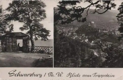 Schwarzburg - Blick vom Trippstein - 1960