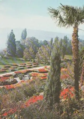 Mainau - Mediterranterrasse - ca. 1985