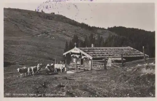 Tegernsee - Grindelalm gegen Grindelschneid - 1937