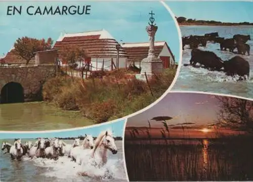 Frankreich - Frankreich - Camargue - 4 Teilbilder - 1989