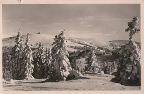 Feldberg / Schwarzwald - von Stübenwasen gesehen - 1953