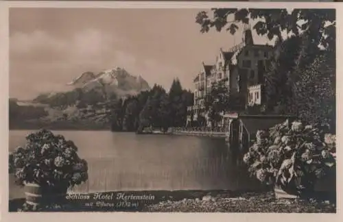 Schweiz - Schweiz - Hertenstein - Schloss Hotel, mit Pilatus - ca. 1950