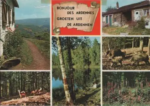 Belgien - Belgien - Ardennen - ca. 1980