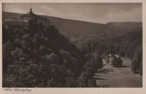 Schwarzburg - Schloßmit Hirschwiese - 1930