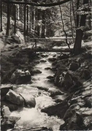 Teutoburger Wald - Silberbachtal - ca. 1965