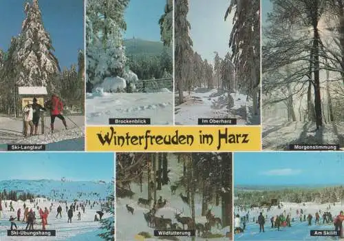 Harz - u.a. Ski-Langlauf - 1995