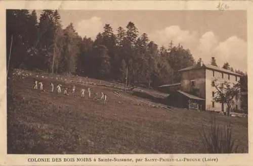 Frankreich - Sainte-Suzanne - Frankreich - Colonie des Bois Noirs