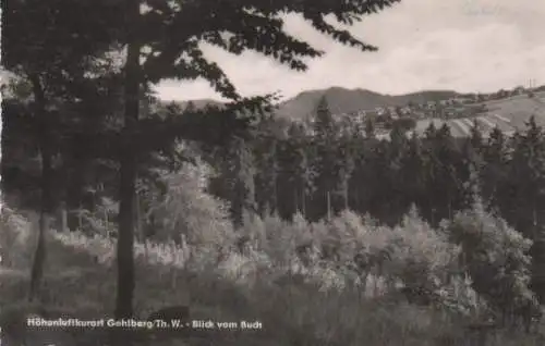 Gehlberg - Blick vom Buch - 1962