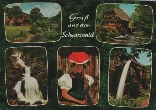 Schwarzwald - 1981