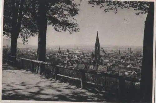 Freiburg - Blick vom Schloßberg - ca. 1955