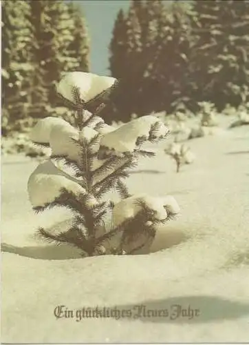 Glückliches Neues Jahr - Schneebild