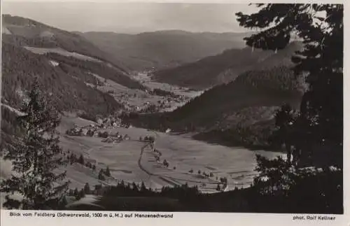 St. Blasien-Menzenschwand - vom Feldberg