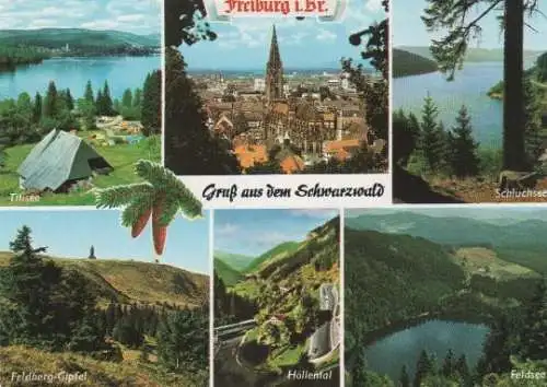 Freiburg - Titisee, Feldberg-Gipfel, Höllental, Schluchsee, Feldsee, Freiburg i. Br. - 1997