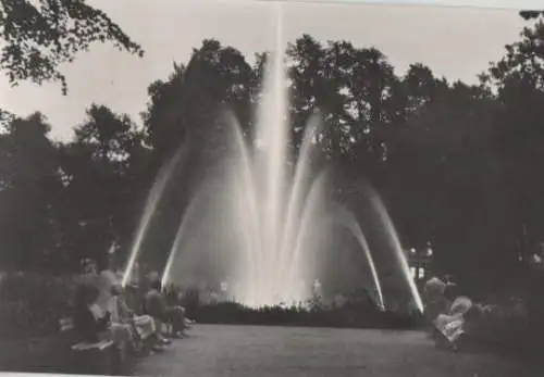 Blankenburg Harz - Thiepark - 1974