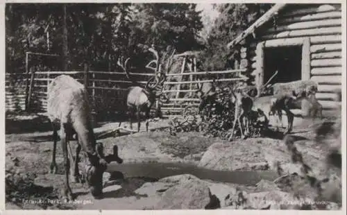 Schweden - Schweden - Gävle-Furuvik - Park, Renberget - 1956