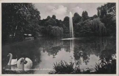 Nordhausen - Schwanenteich im Stadtpark - 1938