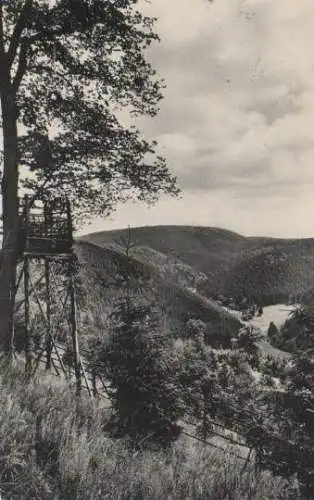 Braunlage - Blick vom Lampertsberg ins Kunzenbachtal - 1953