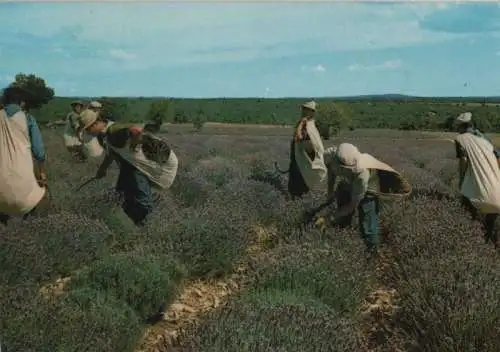 Frankreich - Frankreich - Frankreich (Sonstiges) - Les Belles de nos Provinces - 1986