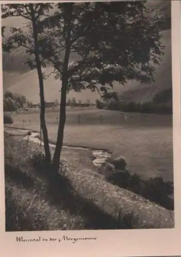 Wiesental in Morgensonne - ca. 1950