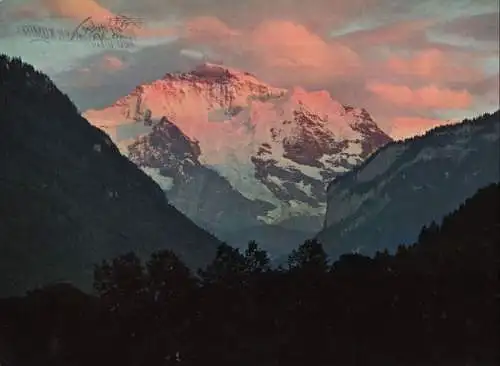 Schweiz - Interlaken - Schweiz - Jungfrau, Abendstimmung