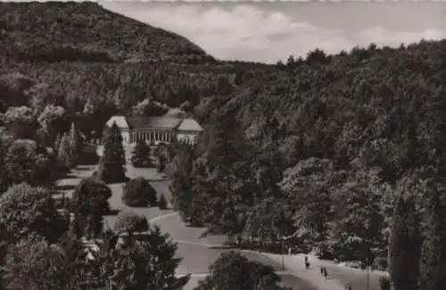 Bad Wildungen - Kurpark mit Wandelhalle - 1957