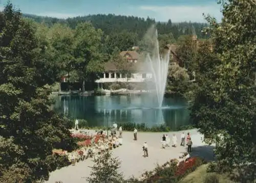 Braunlage - Kurparksee mit Fontäne - ca. 1975