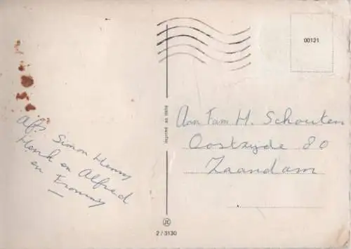 Rosen blühend