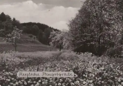 Herzliche Pfingstgrüße - 1979