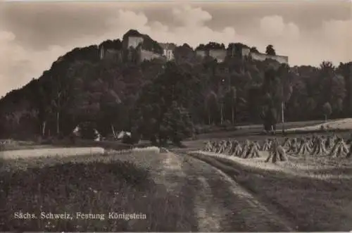 Königstein - Festung