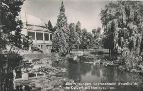 Bad Wildungen - Seerosenteich - 1958