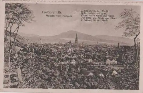 Freiburg - Münster vom Hebsack - ca. 1935