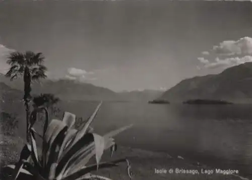 Italien - Italien - Lago Maggiore - Isole di Brissago - 1958