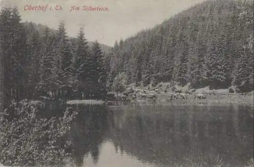 Oberhof - Am Silberteich