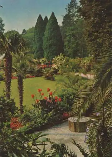 Mainau (Insel) - Blick vom Palmenhain - ca. 1975