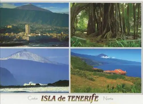 Spanien - Teneriffa - Spanien - Costa Norte