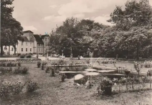 Pretzsch - Kurpark, Froschteich - 1970